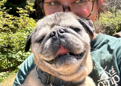 Two happy dogs sitting under a More Hiking sign on a forest trail