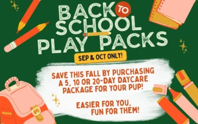 Introducing Play Packs: Flexible, Discounted Dog Daycare Package